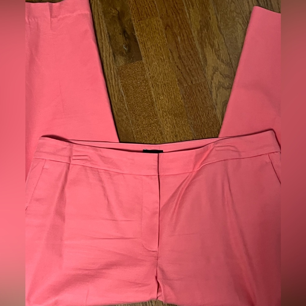 Ann Taylor Pant Size 14